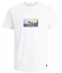 Jack & Jones JORWOODLANDGRAPHIC T-Shirt White