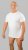 20 Nodi Mezzogiorno Sports T-Shirt White - Pólók - Nagyméretű pólók - 2XL-14XL