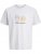 Jack & Jones Calma Crew Neck T-Shirt Gray Dawn - Pólók - Nagyméretű pólók - 2XL-14XL