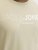 Jack & Jones Blaneo Short Sleeve T-shirt Beige - Pólók - Nagyméretű pólók - 2XL-14XL