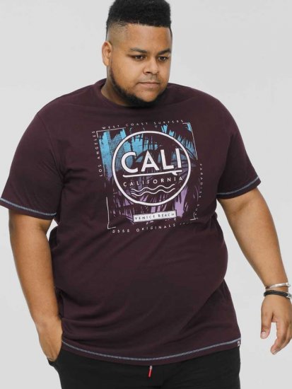 D555 NOVA Cali Surf Printed Crew Neck T-Shirt Plum - Pólók - Nagyméretű pólók - 2XL-14XL