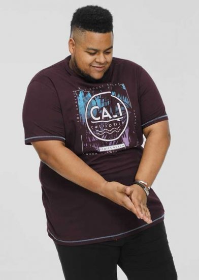 D555 NOVA Cali Surf Printed Crew Neck T-Shirt Plum - Pólók - Nagyméretű pólók - 2XL-14XL