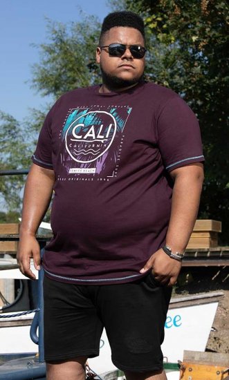 D555 NOVA Cali Surf Printed Crew Neck T-Shirt Plum - Pólók - Nagyméretű pólók - 2XL-14XL