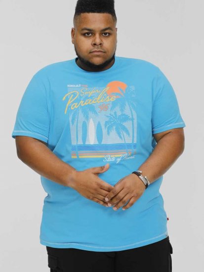 D555 AARON Surfers Paradise Printed Crew Neck T-Shirt Turquoise - Pólók - Nagyméretű pólók - 2XL-14XL