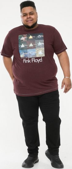 D555 DIVISION Official Pink Floyd Printed T-Shirt Burgundy - Pólók - Nagyméretű pólók - 2XL-14XL