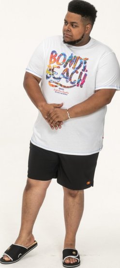 D555 SYDNEY Multi Coloured Bondi Beach Printed T-Shirt White - Pólók - Nagyméretű pólók - 2XL-14XL