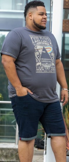 D555 HANLEY Official Pink Floyd Crew Neck T-Shirt Dark Grey TALL SIZES - FÉRFIRUHÁZAT MT-6XLT - TALL-méretek