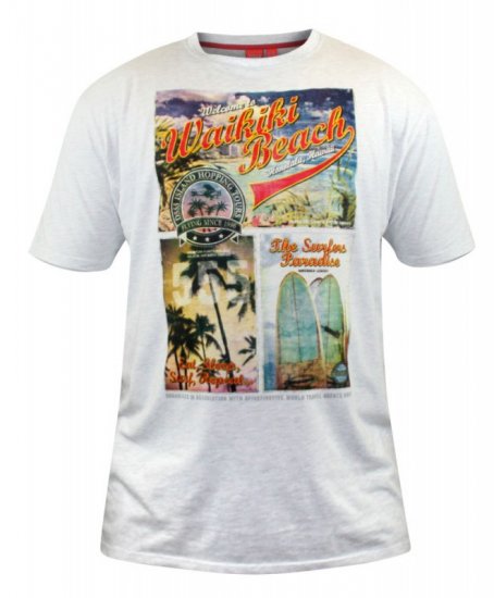 D555 Winthorp T-shirt White - Pólók - Nagyméretű pólók - 2XL-14XL