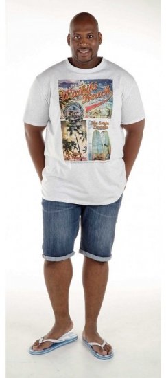 D555 Winthorp T-shirt White - Pólók - Nagyméretű pólók - 2XL-14XL