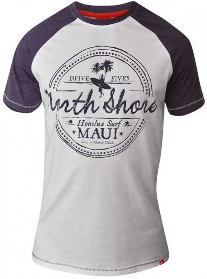 D555 JAYSON Raglan Crew Neck T-Shirt Grey - Pólók - Nagyméretű pólók - 2XL-14XL