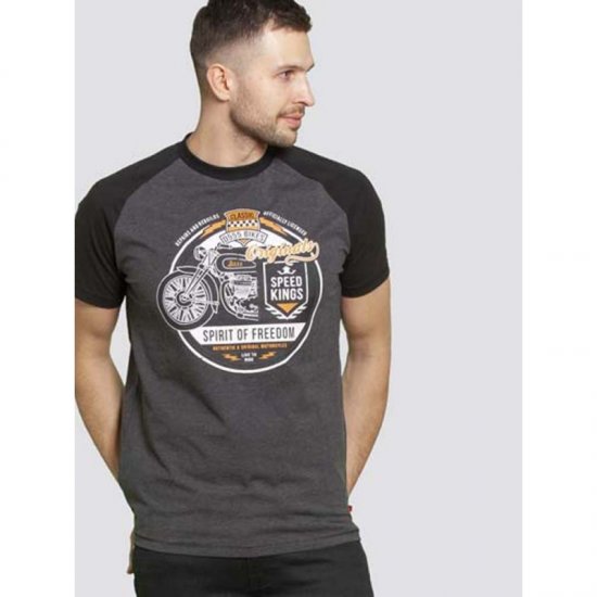 D555 Dallas T-shirt Charcoal - Pólók - Nagyméretű pólók - 2XL-14XL