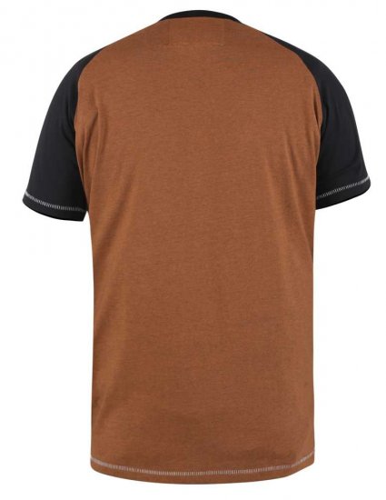D555 Charmouth Raglan Sleeve Printed T-Shirt - Pólók - Nagyméretű pólók - 2XL-14XL