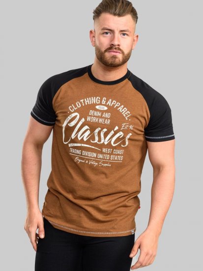 D555 Charmouth Raglan Sleeve Printed T-Shirt - Pólók - Nagyméretű pólók - 2XL-14XL