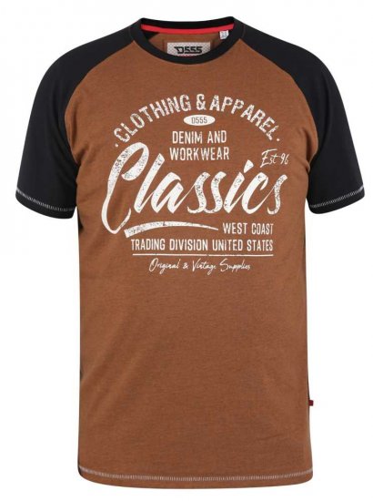D555 Charmouth Raglan Sleeve Printed T-Shirt - Pólók - Nagyméretű pólók - 2XL-14XL