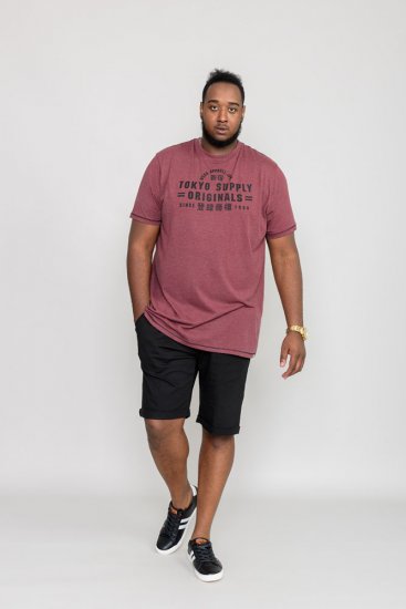 D555 LINTON Printed T-Shirt - Pólók - Nagyméretű pólók - 2XL-14XL