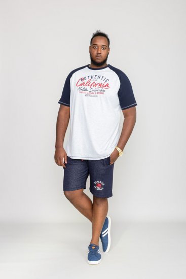 D555 SPARROW Printed T-Shirt - Pólók - Nagyméretű pólók - 2XL-14XL