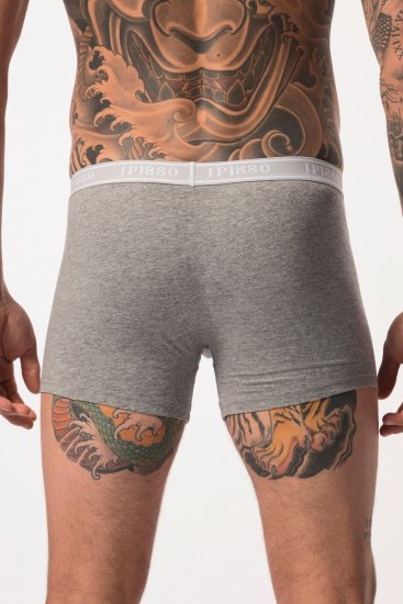 JP1880 Boxershorts Flexnamic OEKO-TEX Mid 2-Pack Grey/Off-White - Alsónemű & strandruhák - Nagyméretű Alsónemű 2XL-8XL