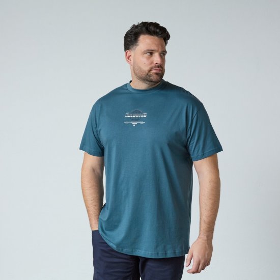 North Latitude T-Shirt With Print Kék - Pólók - Nagyméretű pólók - 2XL-14XL