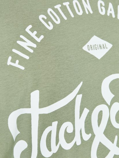 Jack & Jones JJERAFA TEE Light Green - Pólók - Nagyméretű pólók - 2XL-14XL
