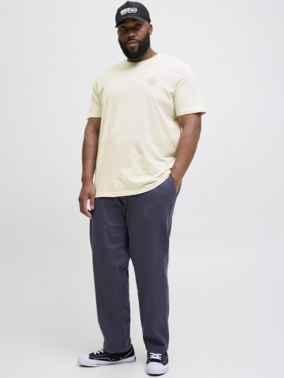 Jack & Jones Jackie Crew Neck T-Shirt Moonbeam - Pólók - Nagyméretű pólók - 2XL-14XL