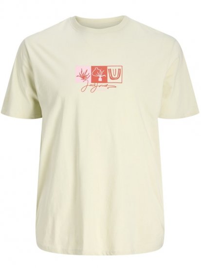 Jack & Jones Canggu Crew Neck T-Shirt Celadon Tint - Pólók - Nagyméretű pólók - 2XL-14XL