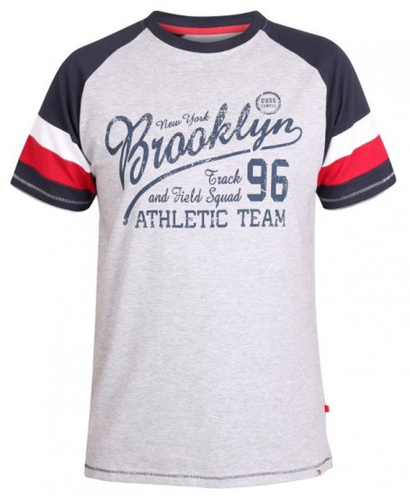 D555 Jones T-shirt Grey - Pólók - Nagyméretű pólók - 2XL-14XL