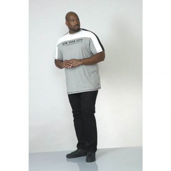 D555 Alvester T-shirt Grey - Pólók - Nagyméretű pólók - 2XL-14XL