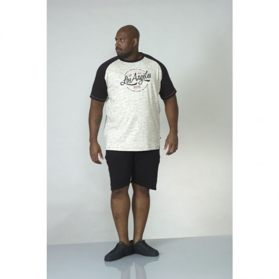 D555 Judson T-shirt Grey - Pólók - Nagyméretű pólók - 2XL-14XL