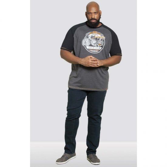 D555 Dallas T-shirt Charcoal - Pólók - Nagyméretű pólók - 2XL-14XL