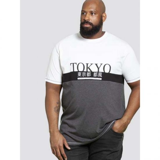 D555 Morris T-shirt Charcoal - Pólók - Nagyméretű pólók - 2XL-14XL