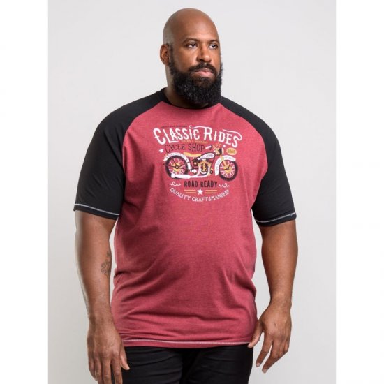 D555 Evans T-shirt Burgundy - Pólók - Nagyméretű pólók - 2XL-14XL