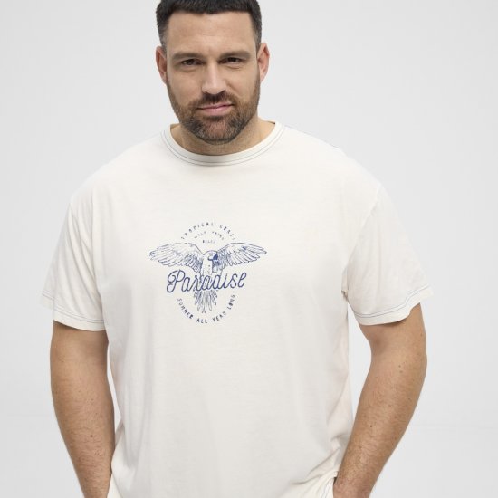 North Latitude T-Shirt Printed Short Sleeve White - Pólók - Nagyméretű pólók - 2XL-14XL