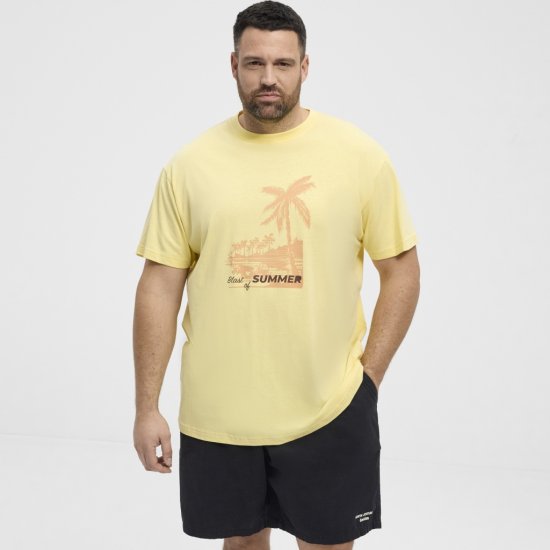 North Latitude T-Shirt Printed Yellow - Pólók - Nagyméretű pólók - 2XL-14XL