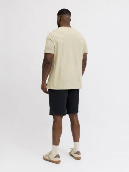 Jack & Jones Blaneo Short Sleeve T-shirt Beige - Pólók - Nagyméretű pólók - 2XL-14XL